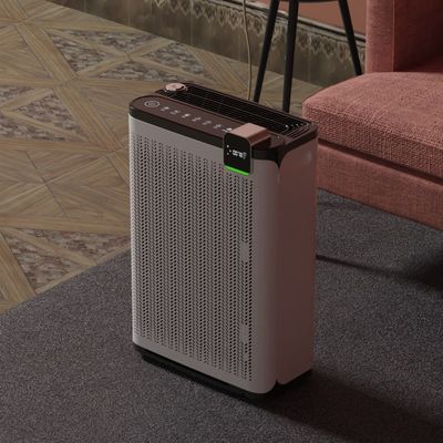 Адсорбция офиса Плавучие волосы для домашних животных Очиститель воздуха Реактивный кислород для домашних животных